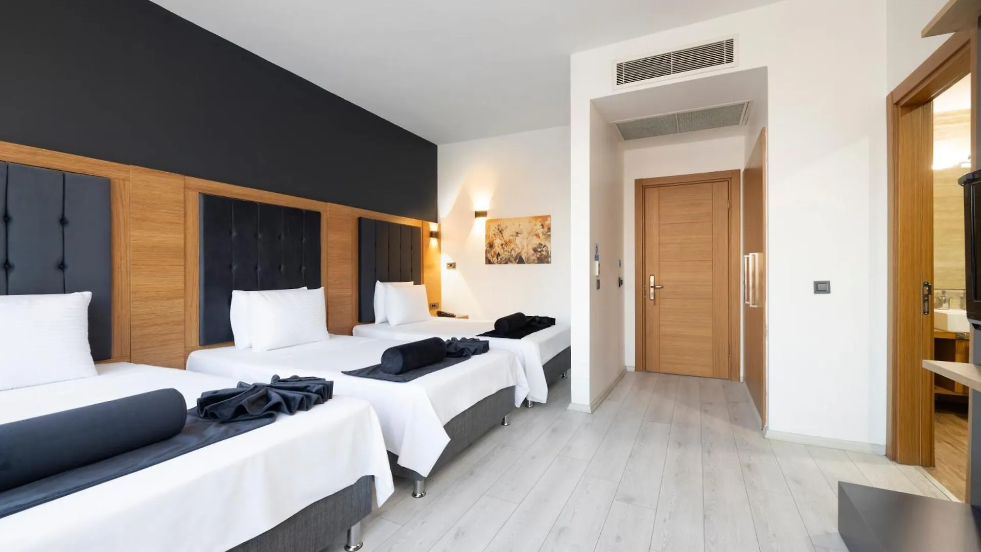 Asia Artemis Suit Hotel İstanbul 3*,  Türkiye
